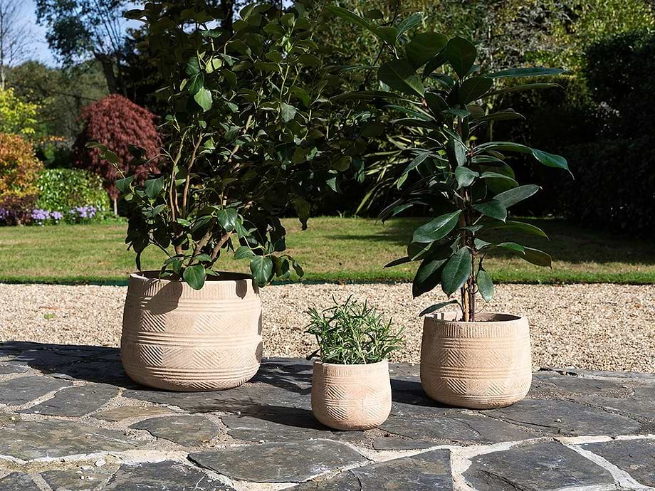 Zadie Etched Ceramic Planter - Neutral - Small