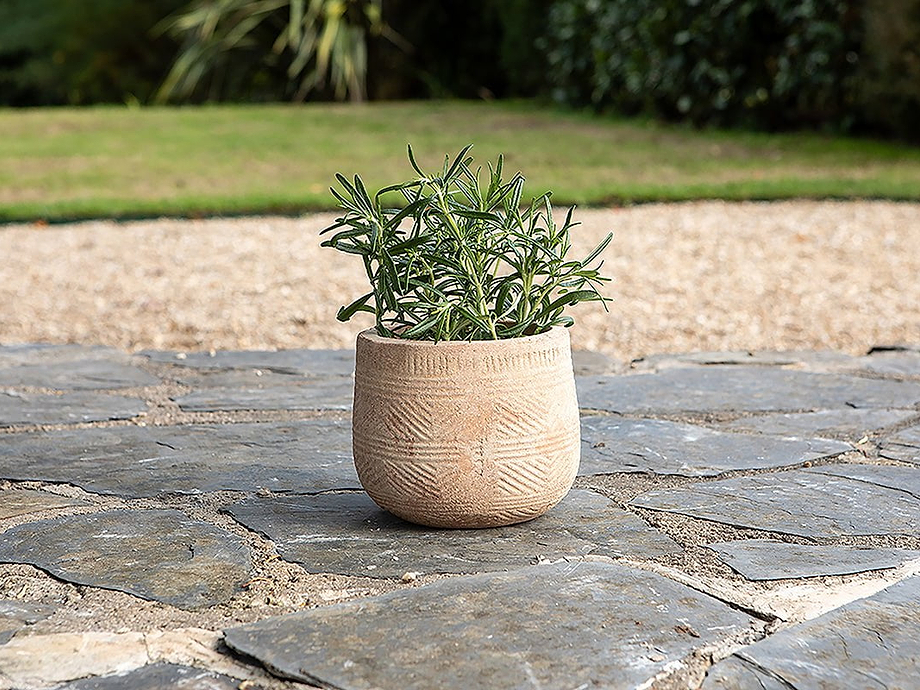 Zadie Etched Ceramic Planter - Neutral - Small