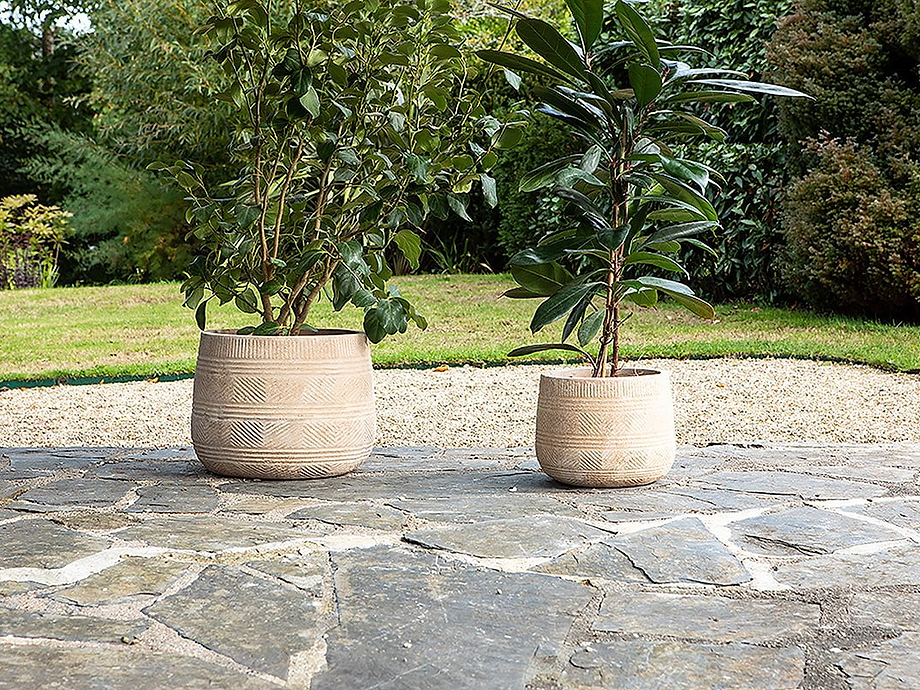 Zadie Etched Ceramic Planters - Neutral - (Set of 2)