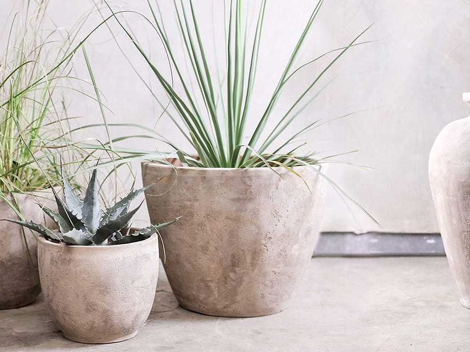 Affiti Clay Planter - Large