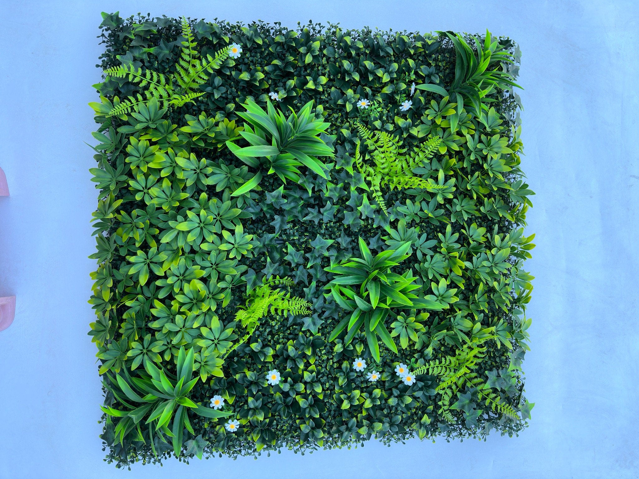 חיפוי קיר ירוק צמחיה מלאכותית ענק 100*100 ס"מ STO10453