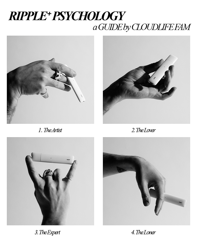how to grow tobacco pdf How To Grow Tobacco: Farming Process From Seed To Harvest