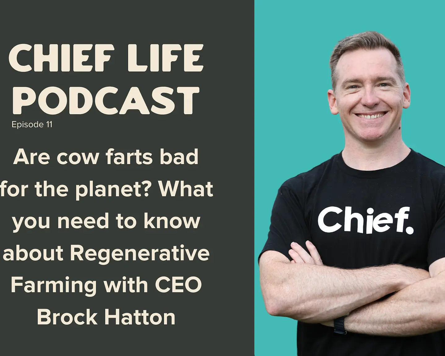 Are-cow-farts-bad-for-the-planet-What-you-need-to-know-about-Regenerative-Farming Chief Nutrition