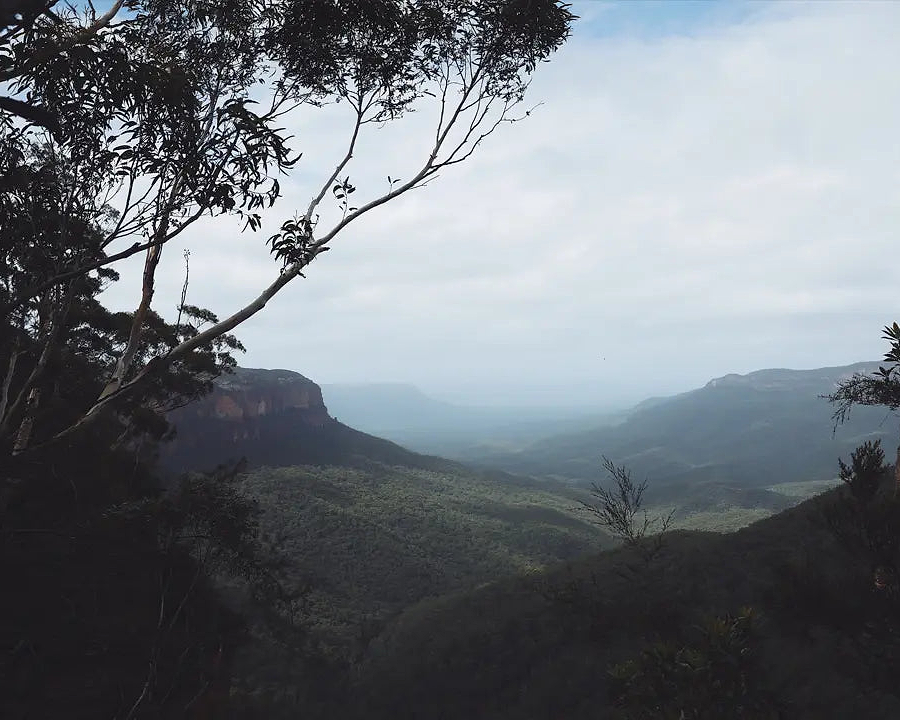 Australia's top 3 trail runs - Chief Nutrition