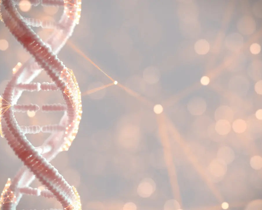 How genetic test helps you to achieve the best health, fitness and physique outcomes. - Chief Nutrition