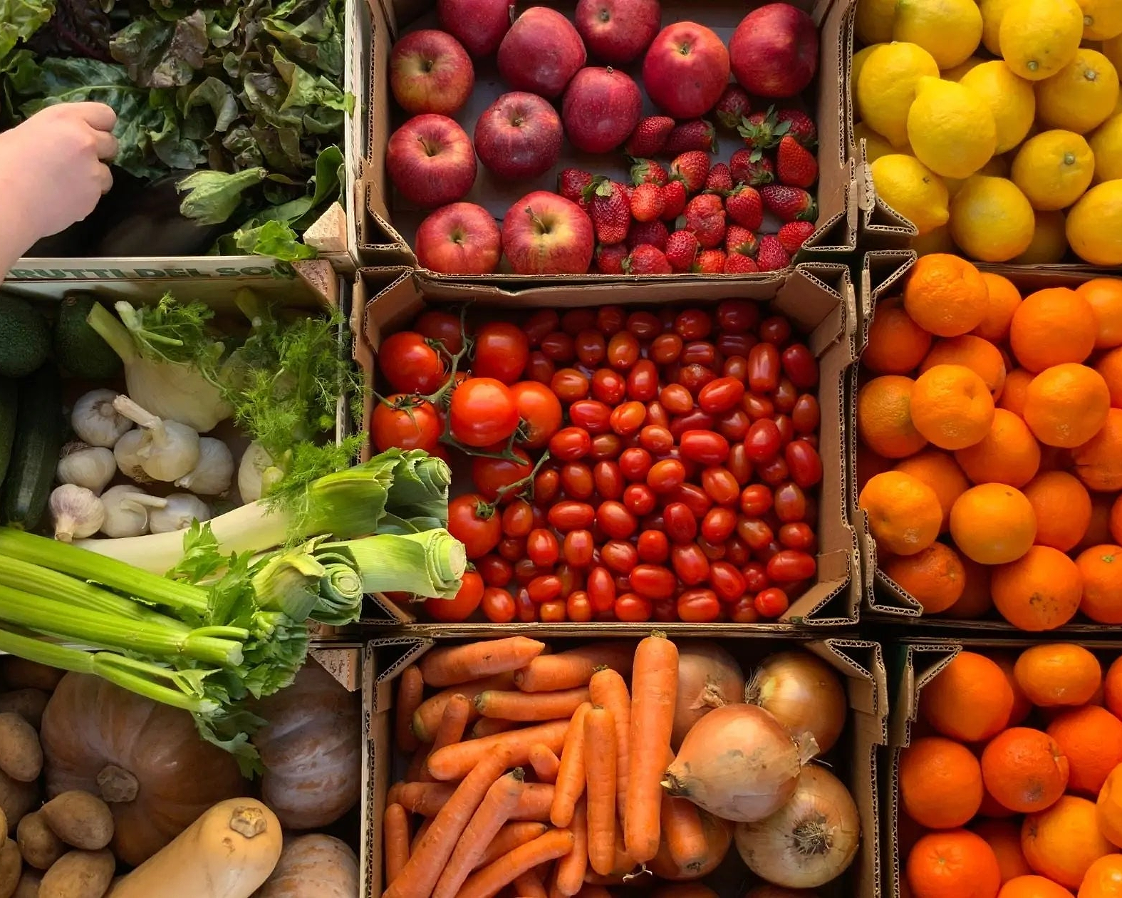Do Calories Really Matter? - Chief Nutrition