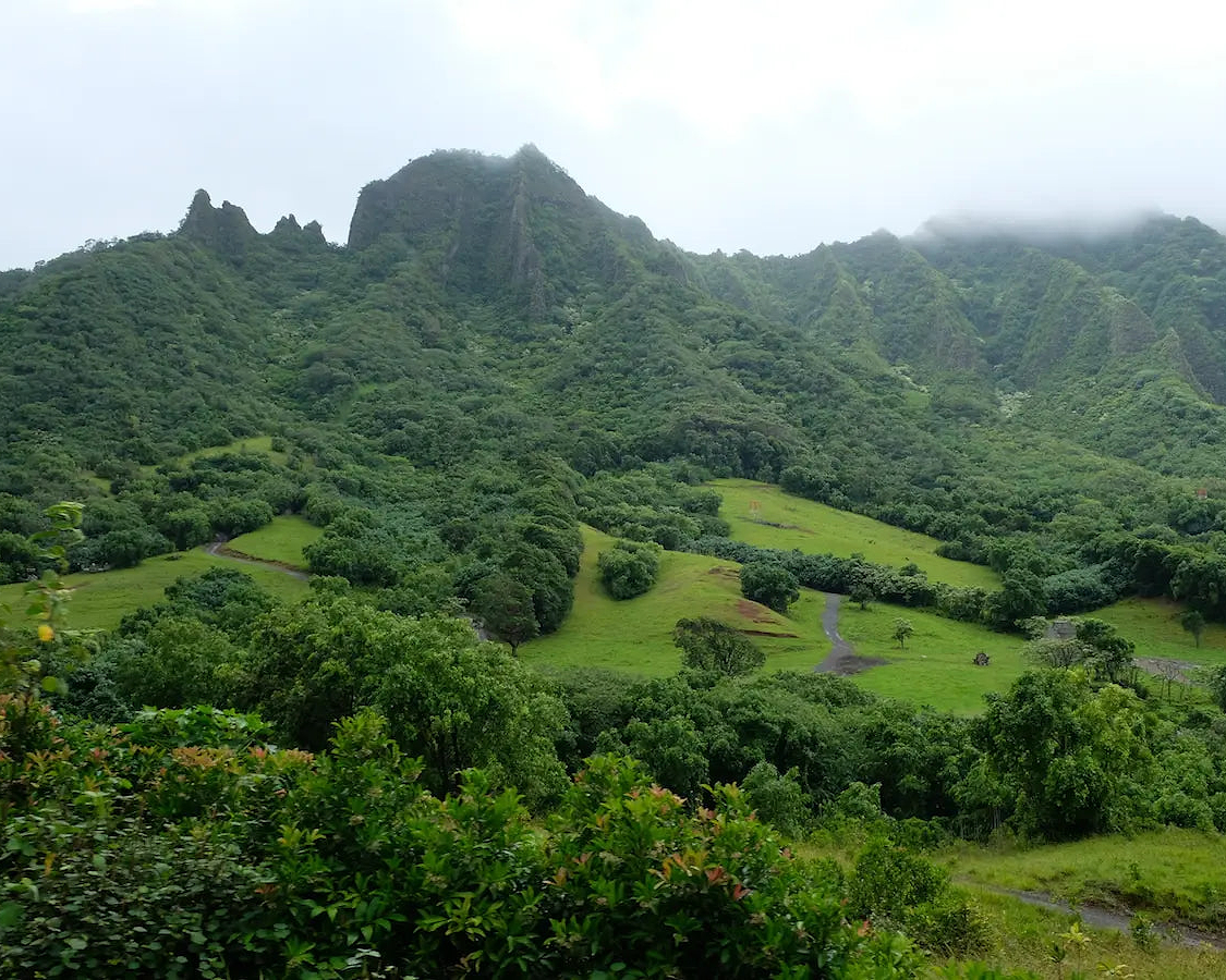 Top 3 most scenic hiking trails in the world! - Chief Nutrition