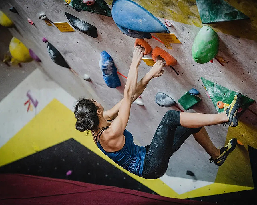 The Role of Tendons and Collagen in Musculoskeletal Sports Injuries - Chief Nutrition