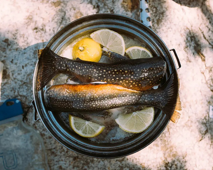 Top 10 Lean and Nutrient Dense Foods - Chief Nutrition