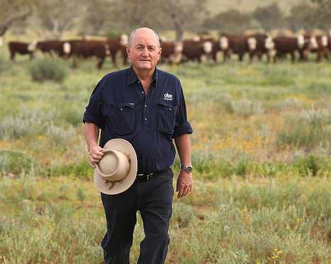 Where does Chief beef come from? - Chief Nutrition