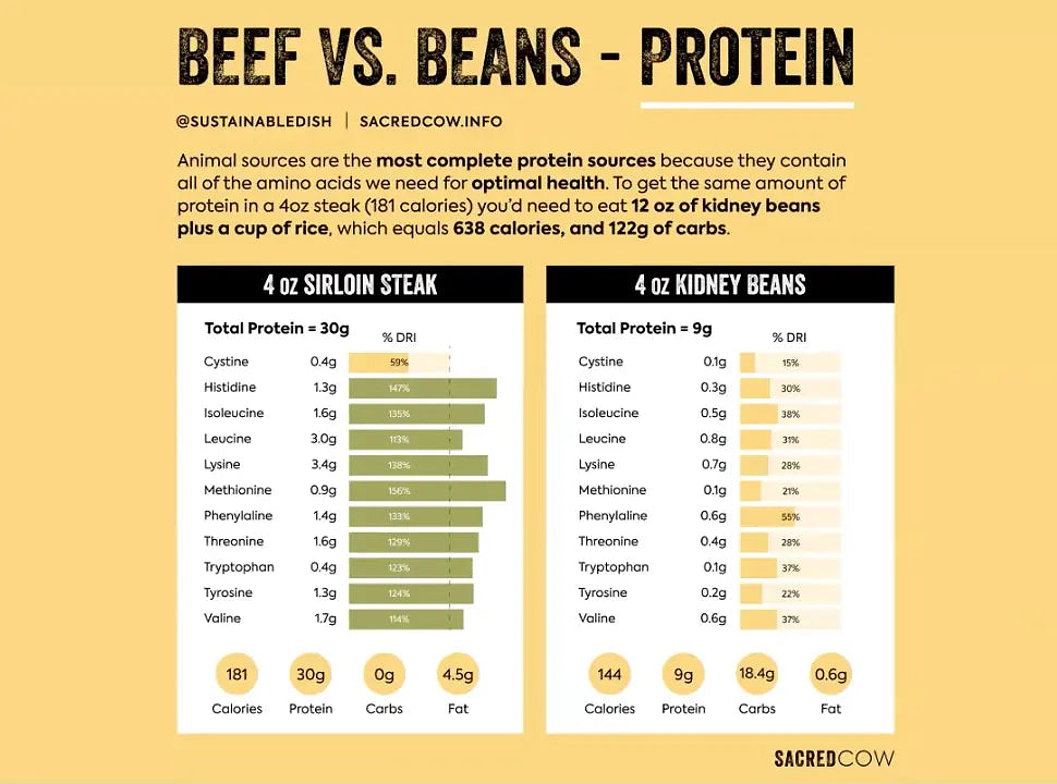 Ending the Anti-meat Narrative with Diana Rodgers - Chief Nutrition