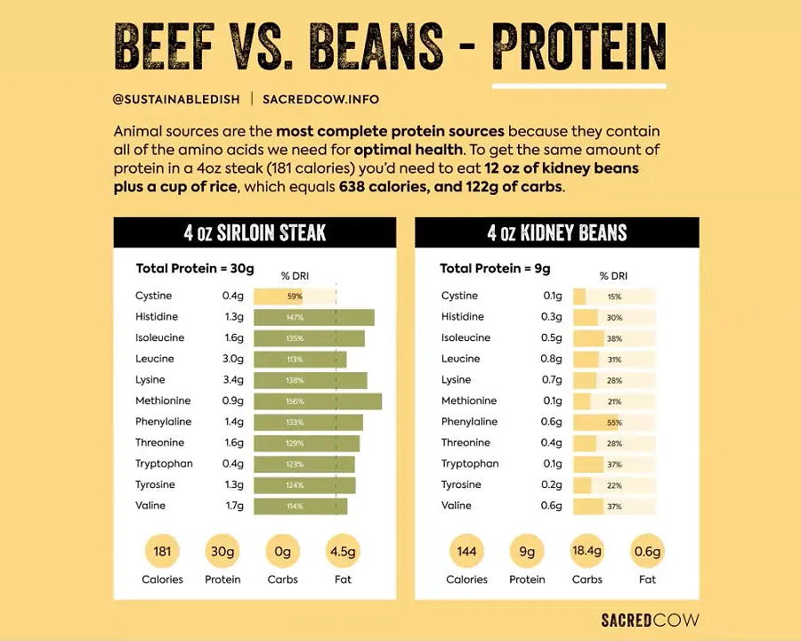 Ending the Anti-meat Narrative with Diana Rodgers - Chief Nutrition