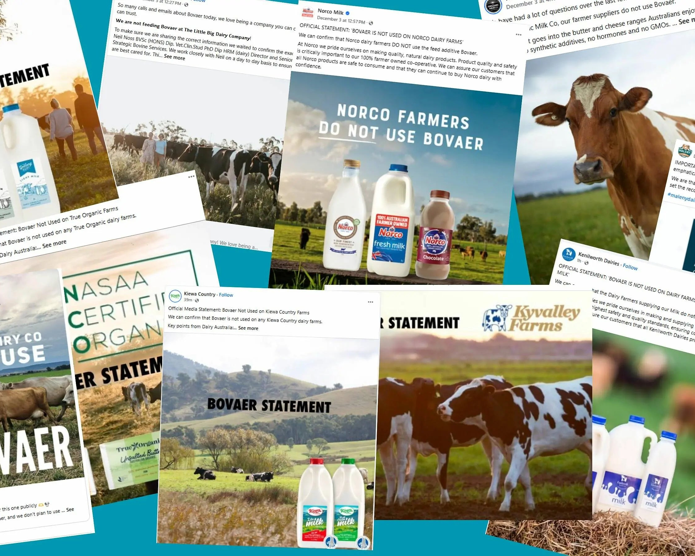 What is Bovaer and what is it doing in cattle feed? - Chief Nutrition