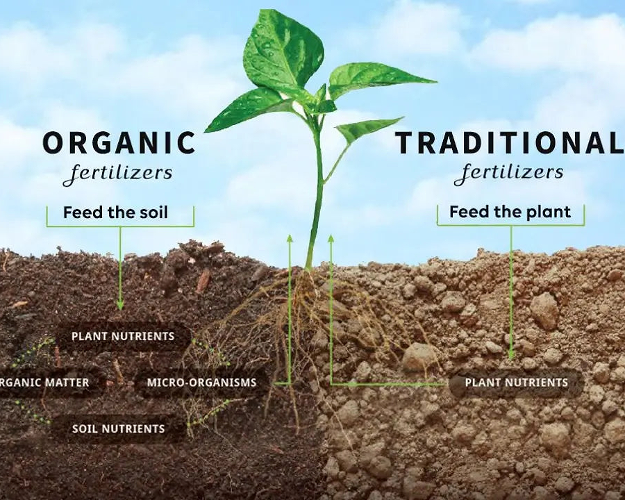 Why petroleum based Fertilisers, Herbicides, Fungicides, Insecticides should have no place in our food system - Chief Nutrition