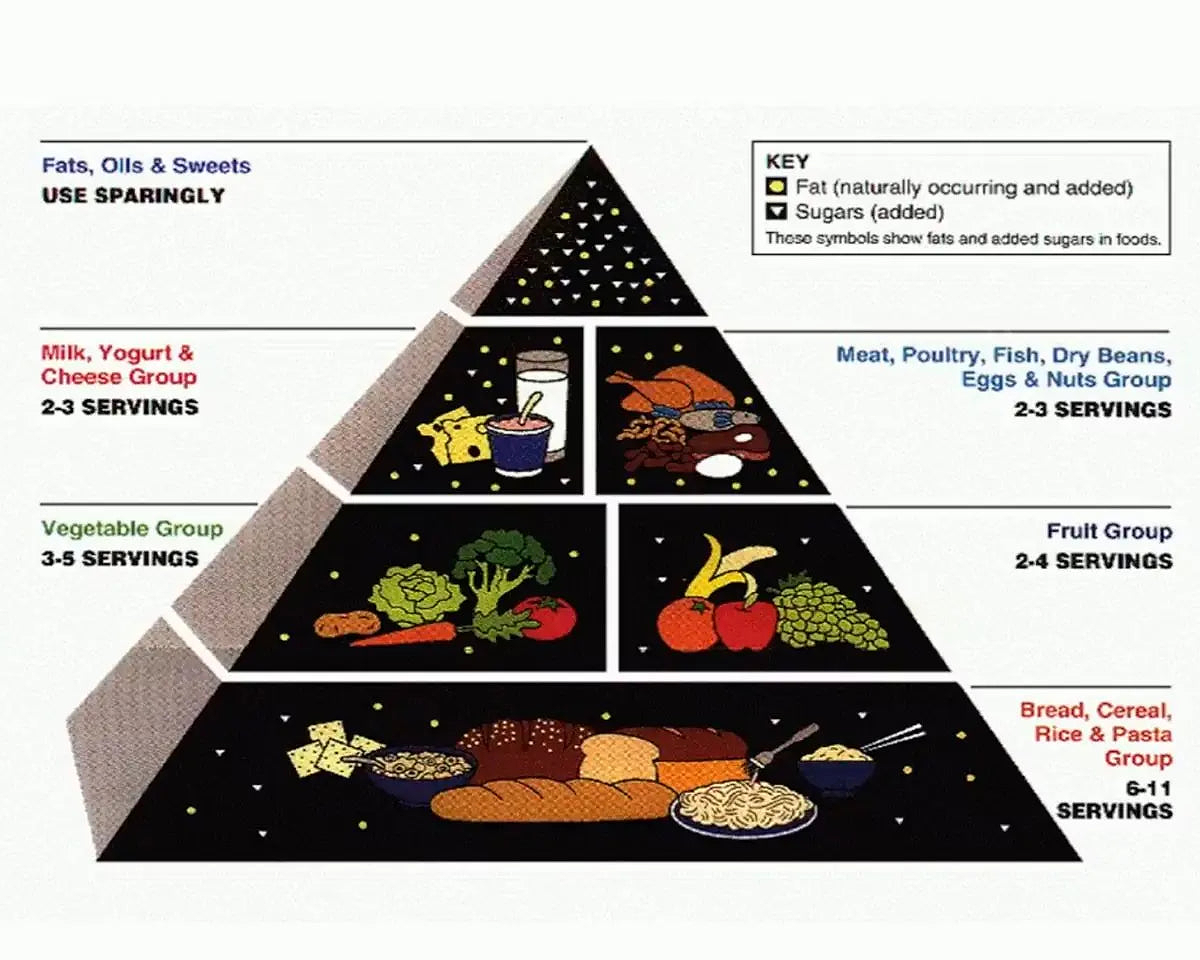 The corrupt history of the food pyramid - Chief Nutrition