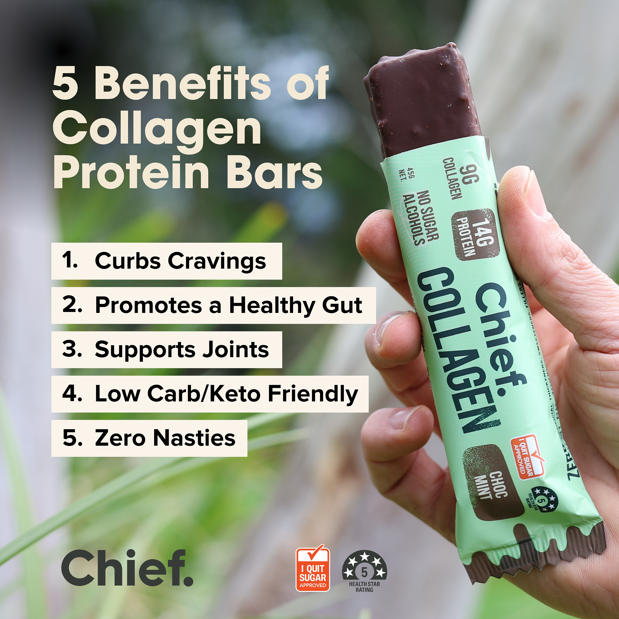 Collagen Protein Choc Mint Bar (12 bars) Chief Nutrition