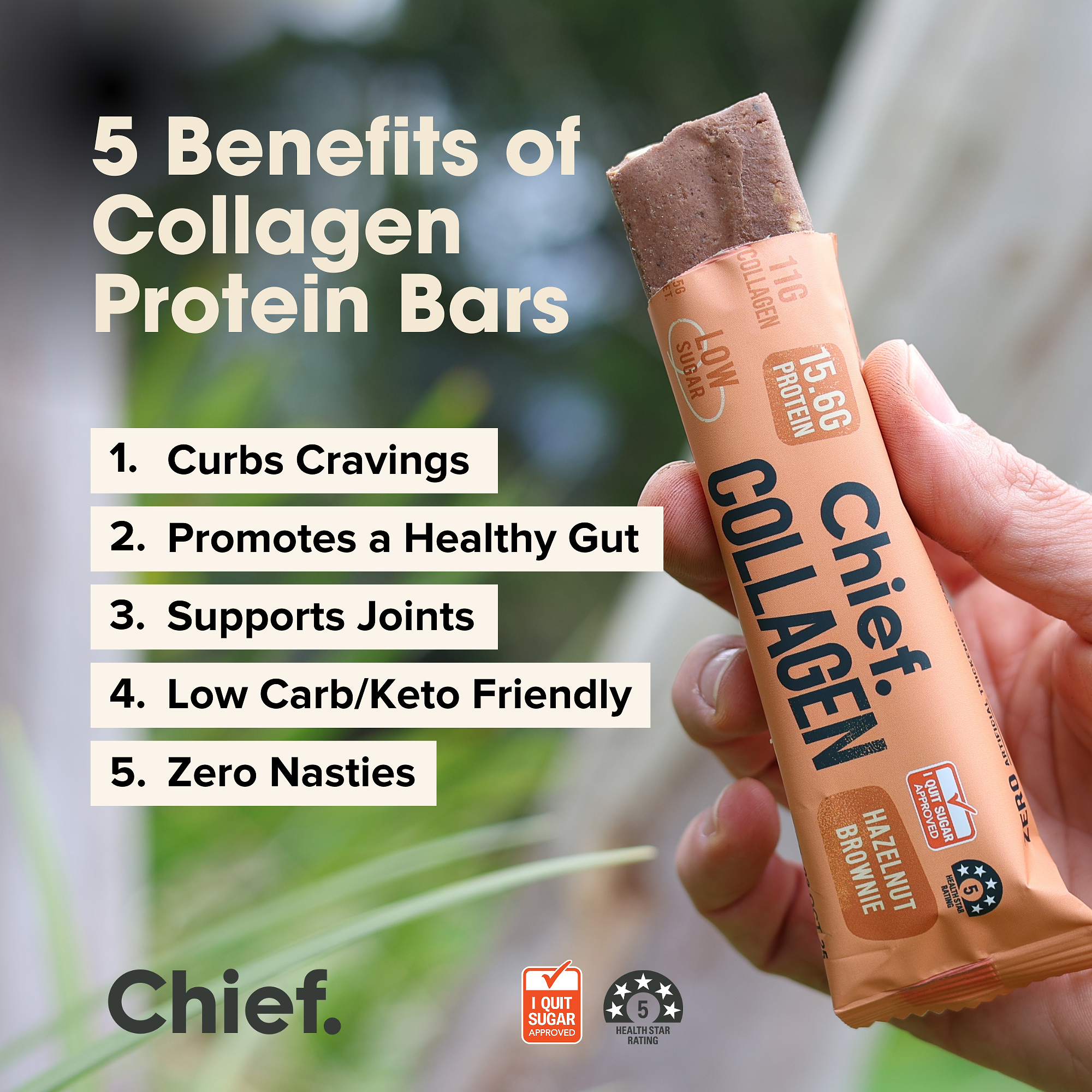 Collagen Protein Hazelnut Brownie Bar (12 bars) - Batch Tested Chief Nutrition