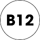 B12_icon_5ce21a53-cb72-4eb5-9362-157c58fc312c.png