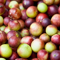 Camu_Camu.png
