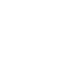 ICON-FastShipping.png