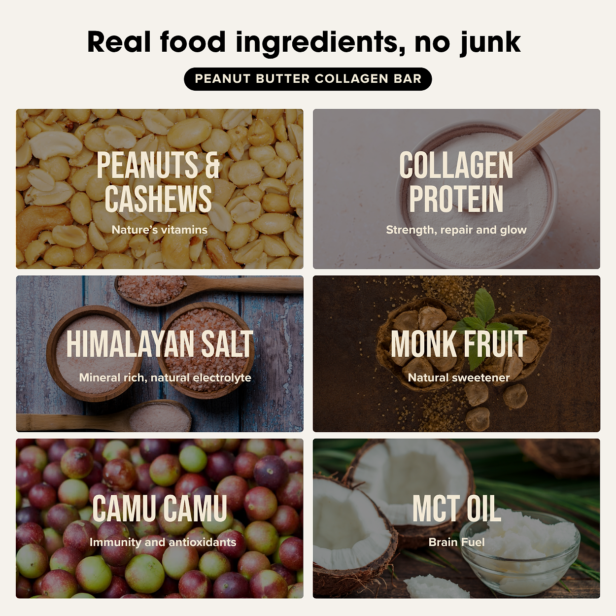 Collagen Protein Peanut Butter Bar (12 bars) Chief Nutrition