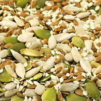 Seeds.jpg