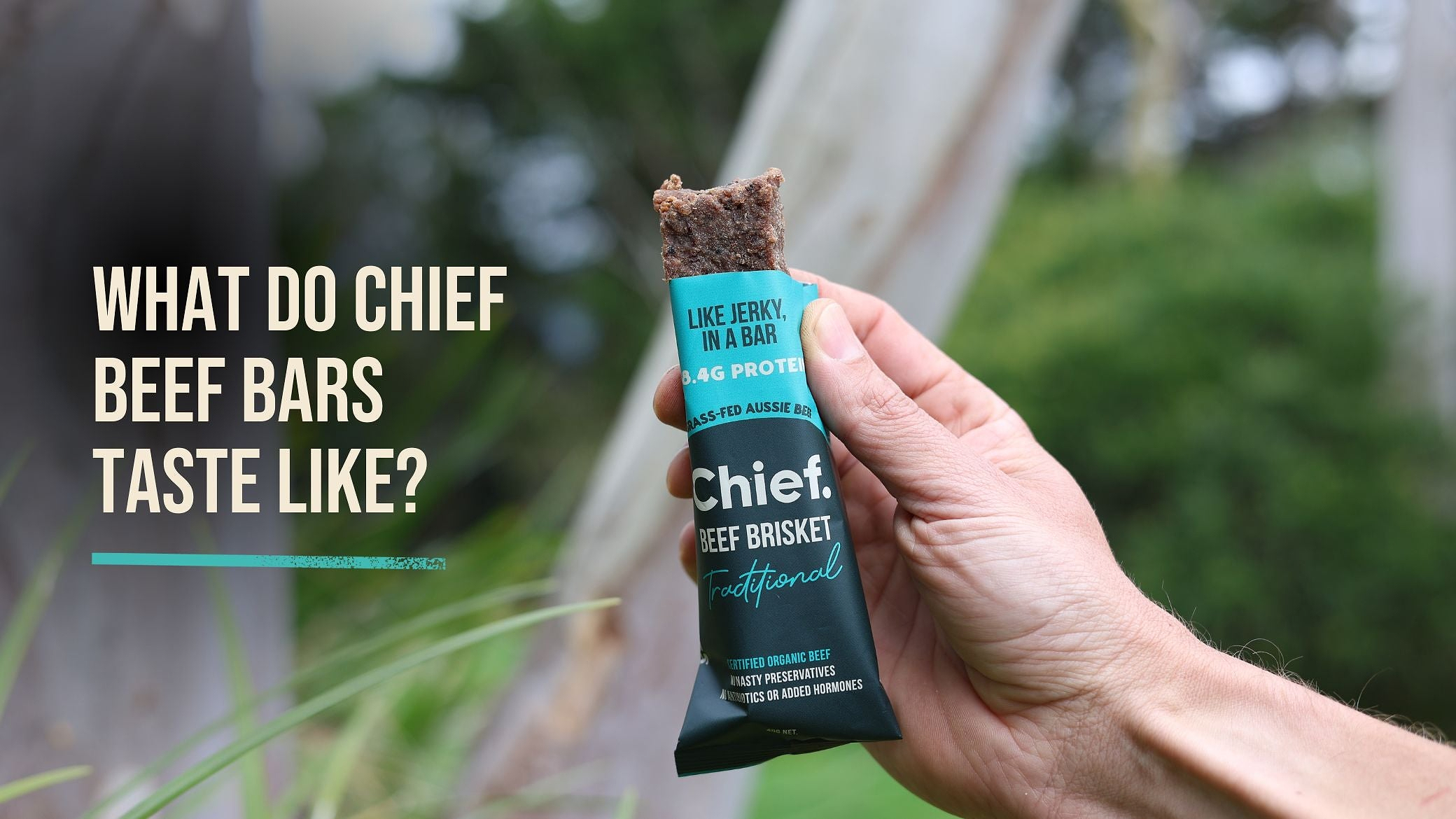 What_do_Chief_Beef_Bars_taste_like.jpg