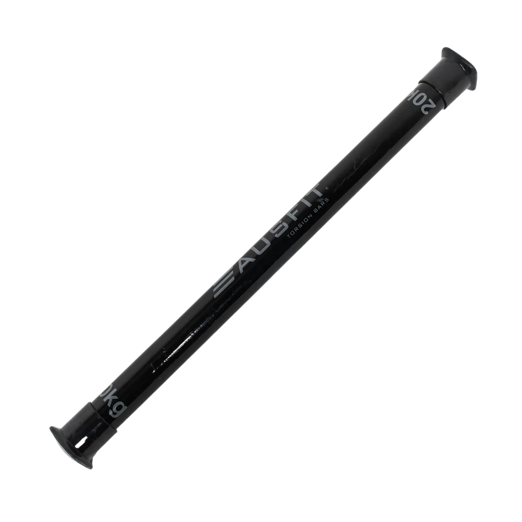 Ausfit Torsion Bar Dumbbell Chief Nutrition 20kg  