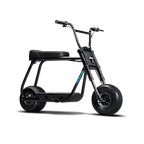 Antic Bike