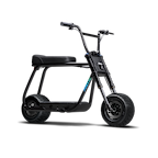 Antic Bike