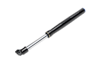Antic Stanchion