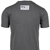 Classic T-Shirt - Gray