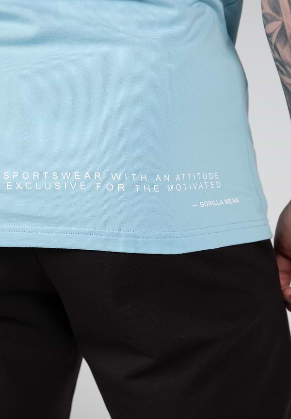 Swanton T- Shirt - Blue