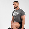 Classic Training T-Shirt - Gray Melange