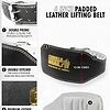 Gorilla Wear 6 Inch Padded Leather Lifting Belt - Black/Gold