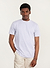 3 Pack T Shirts | Organic Cotton | White / Forest / Athletic Grey