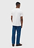 Speed Greyhound Regular Fit T Shirt | Percival and Champion | White