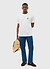Speed Greyhound Regular Fit T Shirt | Percival and Champion | White