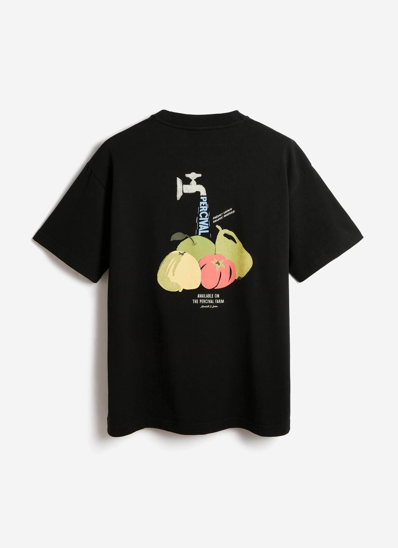 Back of the black Percival Fruit Farm oversized t-shirt in organic cotton, featuring a colorful fruit and tap graphic.