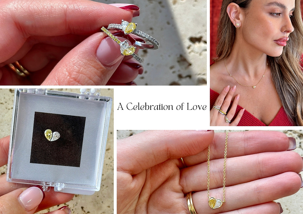 a celebration of love