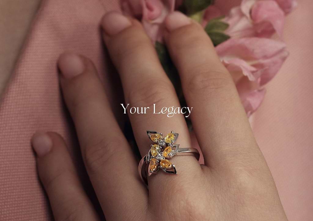 Your Collection, Your Legacy