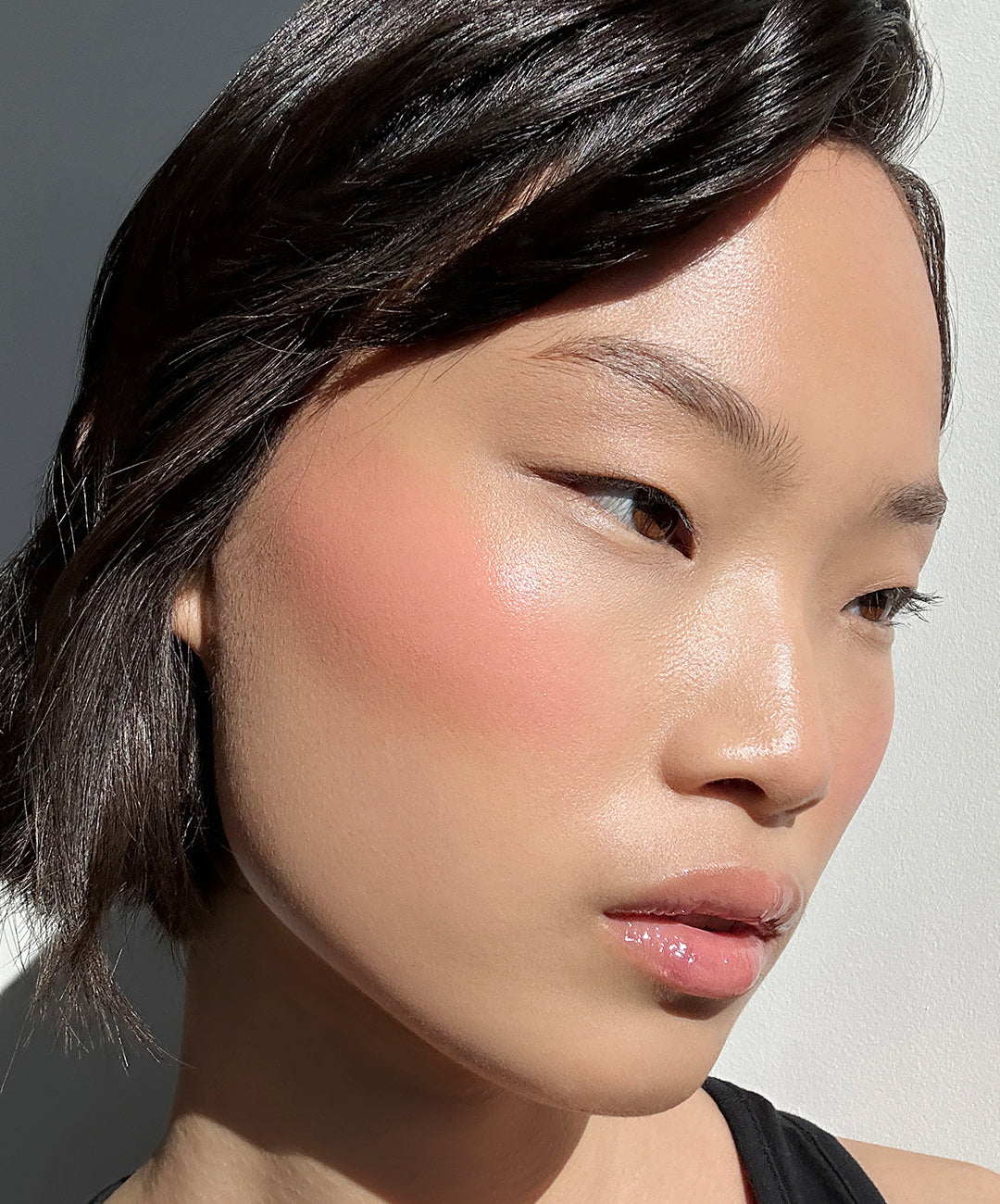 | desc: | text: light Wenli wears shade Rose 

