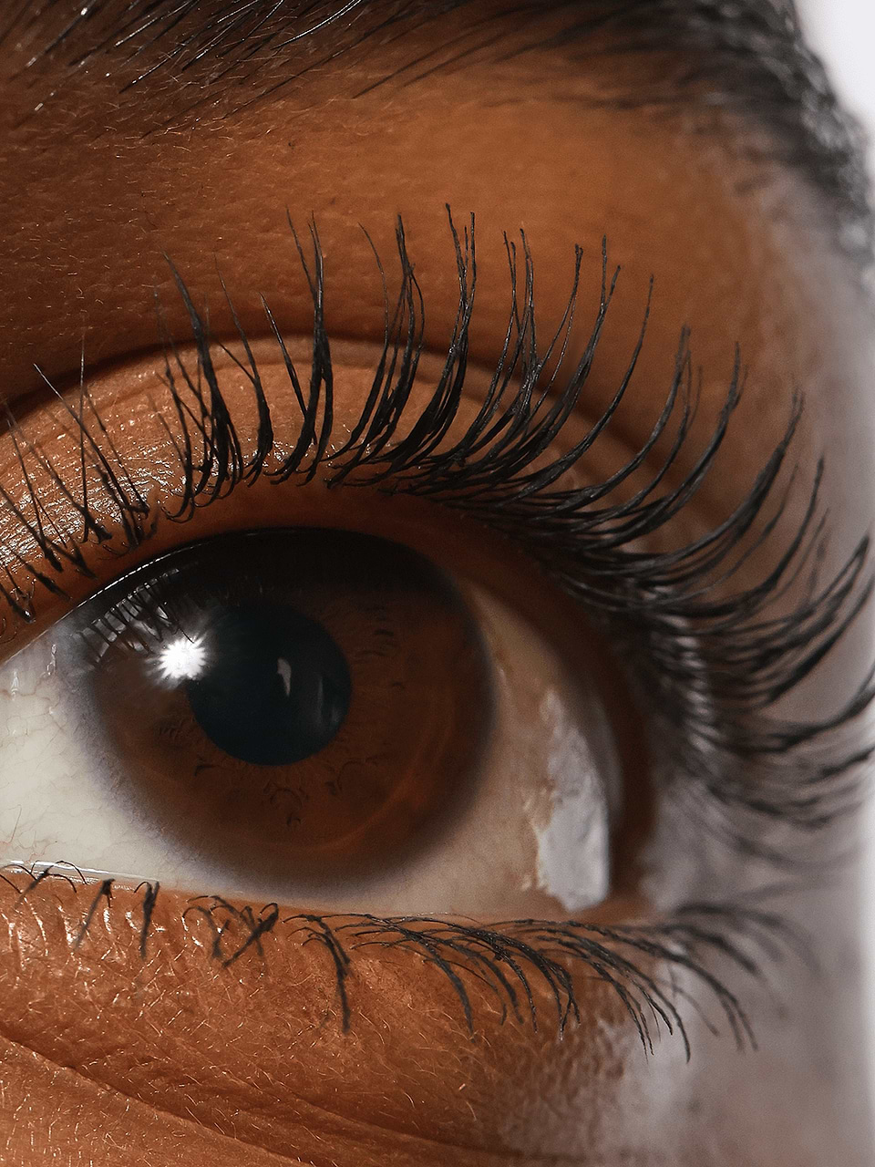 CLOSE UP EYE OF MODEL WEARING REFY LASH SCULPT 