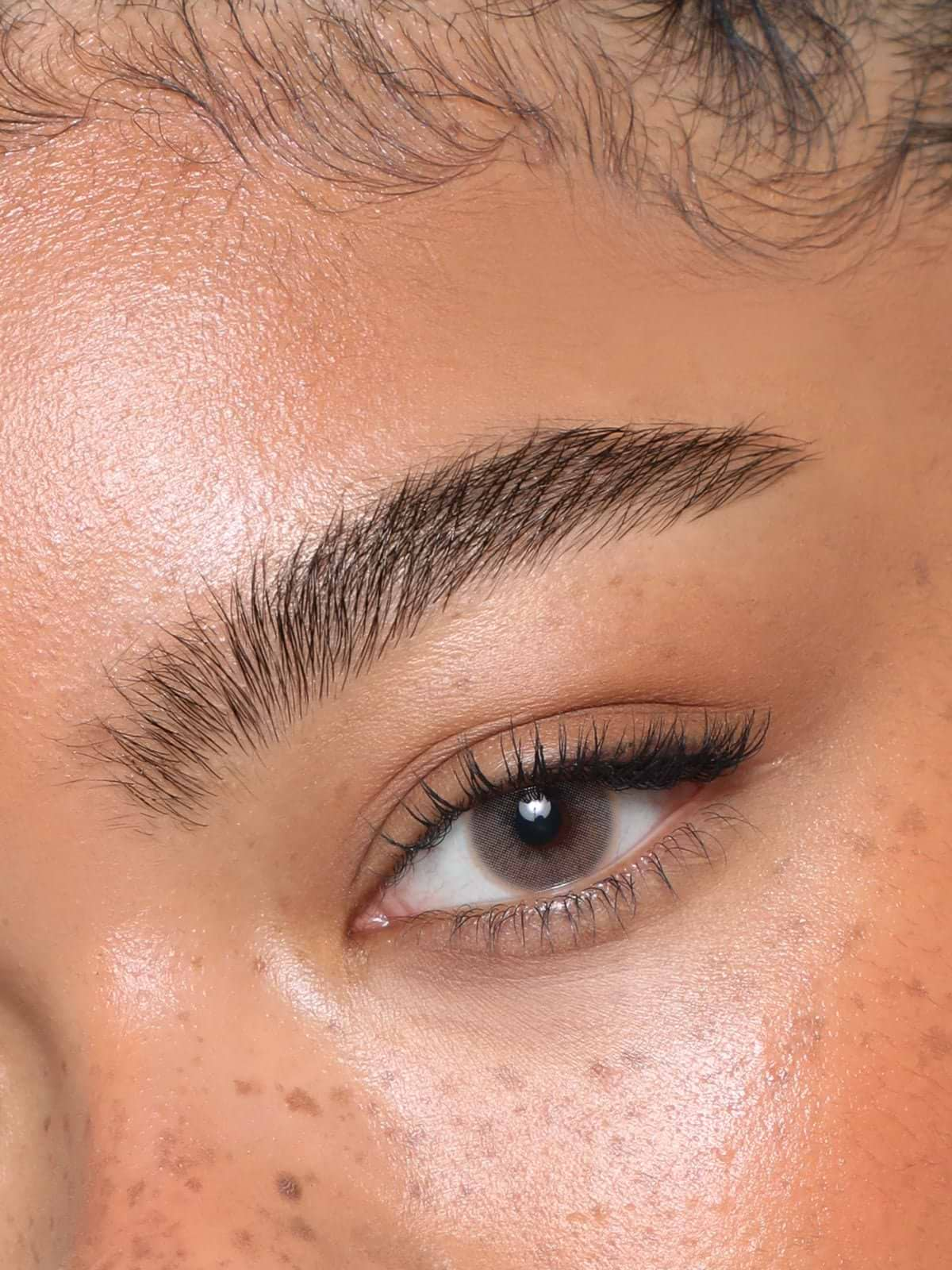 Brow Collection