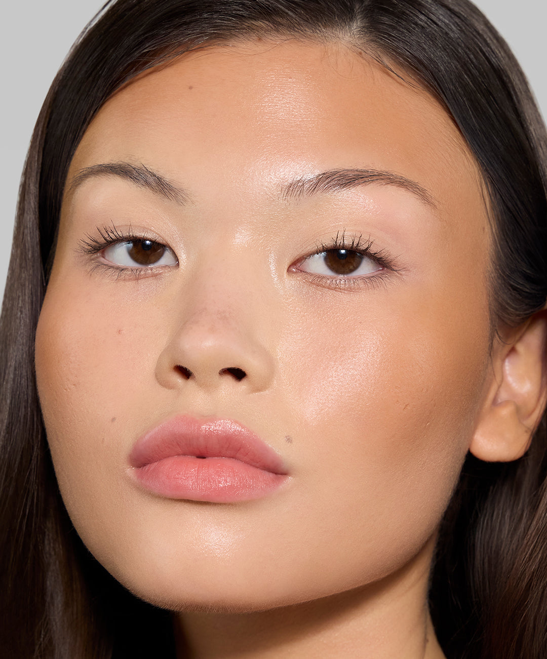 | desc: | text: light Tuti wears shade Oak 