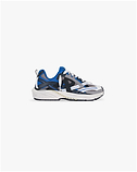   Royal Blue Grey