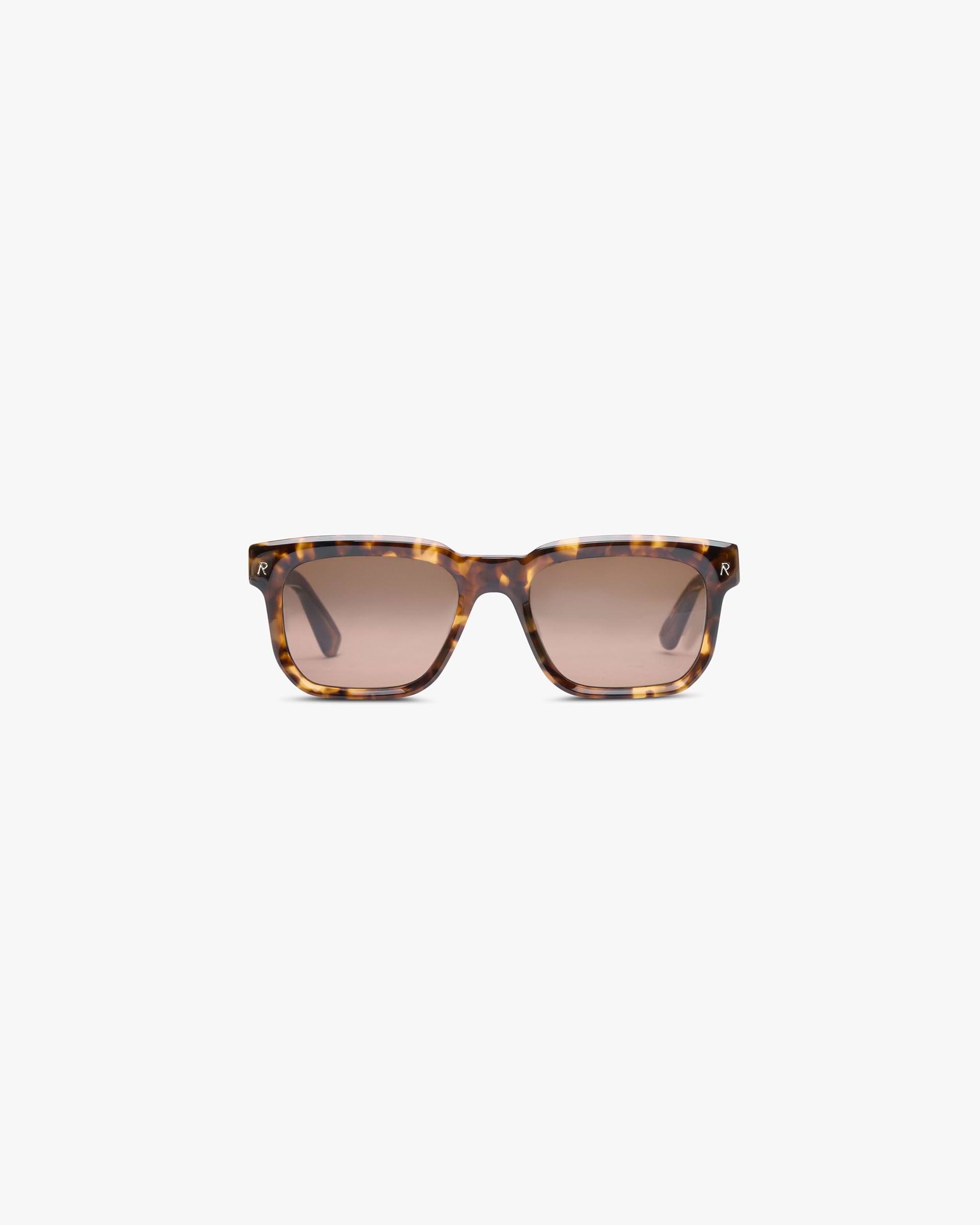 Hampton Sunglasses - Tortoise