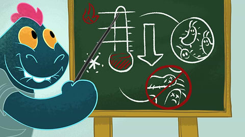 Toesty in front of a diagram that shows how lower temperatures kill bacteria.