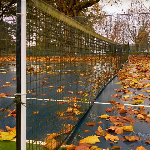Tennis net and court covered in leaves.