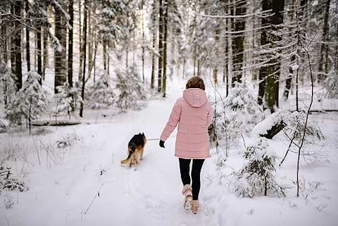 Essential Gear for Winter Dog Walking The Best Gloves to Keep You War Heat Holders